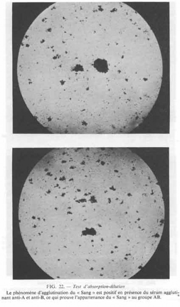 Fichier:Lanciano-BS-Fig22.jpg