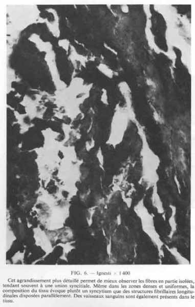 Fichier:Lanciano-BS-Fig06.jpg