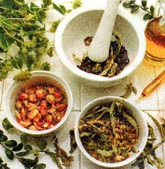 Hildegarde et la phytothérapie.jpg